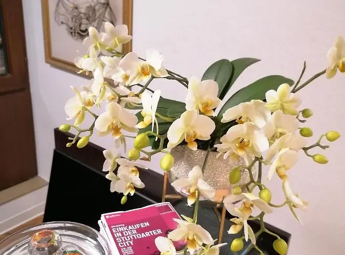 Olgaeck Hotel Stuttgart